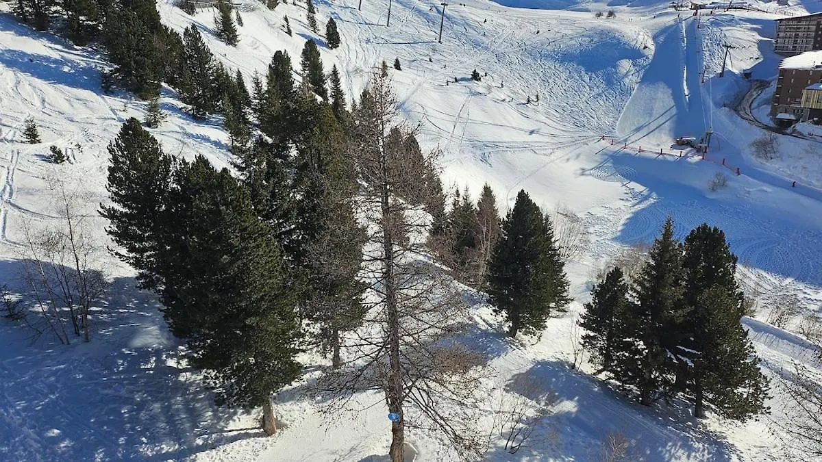 Appartement Plein Sud 